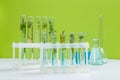 test tube Natural cosmetics organic product from plants and flowers  herbal cosmetics for skin care Royalty Free Stock Photo