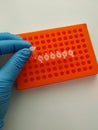 test tube, PCR test tubes Royalty Free Stock Photo