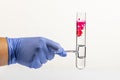 Test tube with red reagent and pipette close-up. Colored liquid in test tube in hand. Blood or other red liquid drop from glass Royalty Free Stock Photo