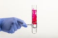 Test tube with red reagent and pipette close-up. Colored liquid in test tube in hand. Blood or other red liquid drop from glass Royalty Free Stock Photo