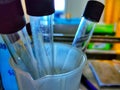 Test Tube Before The Sterilization Process Royalty Free Stock Photo