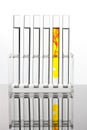 Test tube for testing in a chemical laboratory Royalty Free Stock Photo