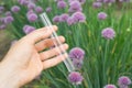 Test tube water in hand, plants in the background.