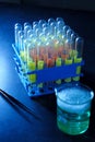 Test tubes from biology lab Royalty Free Stock Photo