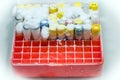 Test tubes in box. Royalty Free Stock Photo