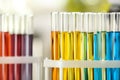 Test tubes with color liquids, closeup view Royalty Free Stock Photo