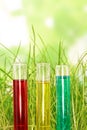 Test tubes with colored liquids in tgrass on abstract green. Royalty Free Stock Photo