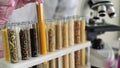 Test tubes containing various grains for developing GMO products in a biochemistry lab. Genetic engineering and selection as a Royalty Free Stock Photo