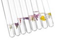 Test tubes with different flowers on white background. Essential oil extraction Royalty Free Stock Photo
