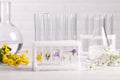 Test tubes with different flowers on white wooden table. Essential oil extraction Royalty Free Stock Photo