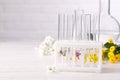 Test tubes with different flowers on white wooden table, space for text. Essential oil extraction Royalty Free Stock Photo