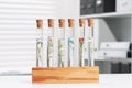 Test tubes with different plants on white table in laboratory Royalty Free Stock Photo