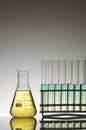 Test tubes and flask Royalty Free Stock Photo