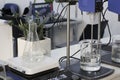 Test tubes and flasks - laboratory glassware. Chemical laboratory equipment