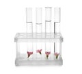 Test tubes with flowers in rack on white background Royalty Free Stock Photo