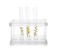 Test tubes with flowers in rack on white background Royalty Free Stock Photo