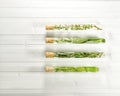 Test tubes with herbs with horizontal lines from top to bottom. Royalty Free Stock Photo