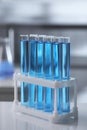 Test tubes with light blue liquid on table in laboratory Royalty Free Stock Photo