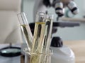 Test tubes with liquid samples on a laboratory table next to a microscope during a science experiment concept Royalty Free Stock Photo
