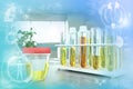 Test tubes in modern science study facility - urine quality test for specific gravity or blood in urine hematuria, medical 3D