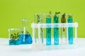 Test tubes and other laboratory glassware with different plants on green background Royalty Free Stock Photo