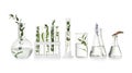 Test tubes and other laboratory glassware with plants on white background Royalty Free Stock Photo