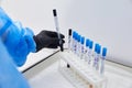 Test tubes rack with madical samples on the table at the modern laboratory Royalty Free Stock Photo