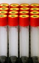 Test tubes (reagent) Royalty Free Stock Photo