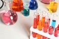 Test tubes with samples in chemistry laboratory, closeup