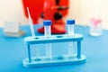 Test tubes and scientific equipment in home biology laborotary. Home schooling, house training. Close up Royalty Free Stock Photo