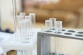 Test tubes on stand Royalty Free Stock Photo