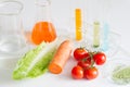 Test vegetables in laboratory control of pesticides Royalty Free Stock Photo