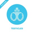 testicles icon vector from human organs collection. Thin line testicles outline icon vector illustration. Linear symbol for use