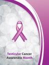 Testicular cancer brochure