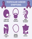 Testicular cancer symptoms. Infographics. Pictogram icons. Testicular ribbon. Men s health infographics.