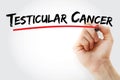 Testicular Cancer text with marker Royalty Free Stock Photo