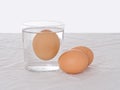 Testing fresh eggs - rotten one, floating in water. Salmonella risk. Royalty Free Stock Photo
