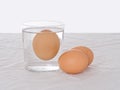 Testing fresh eggs - rotten one, floating in water. Salmonella risk.