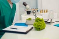 Testing of genetically modified food in the laboratory Royalty Free Stock Photo