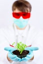 Testing gmo products Royalty Free Stock Photo