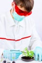 Testing gmo products Royalty Free Stock Photo