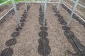 New drip irrigation system in greenhouse