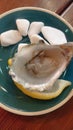 Testing serving of oysters with lemon and garnished with white srones