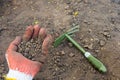 Testing the Soil sample on hand which wears glove with soil ground background. The concept of soil quality and farming
