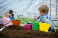 Testing soil. small gardener testing soil in greenhouse. farm expert child testing soil. testing soil concept. when will