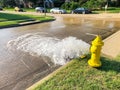 Testing yellow fire hydrant gushing water across a residential street near Dallas, Texas, USA