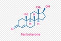 Testosterone chemical formula. Testosterone structural chemical formula isolated on transparent background. Royalty Free Stock Photo