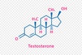 Testosterone chemical formula. Testosterone structural chemical formula isolated on transparent background.