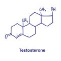Testosterone chemical structure. Vector illustration Hand drawn.