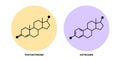 Testosterone and estrogen